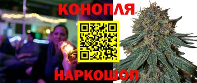 скорость Кингисепп
