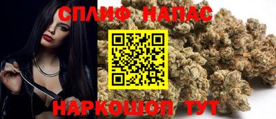 скорость Кингисепп