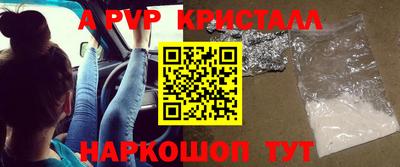 скорость Кингисепп