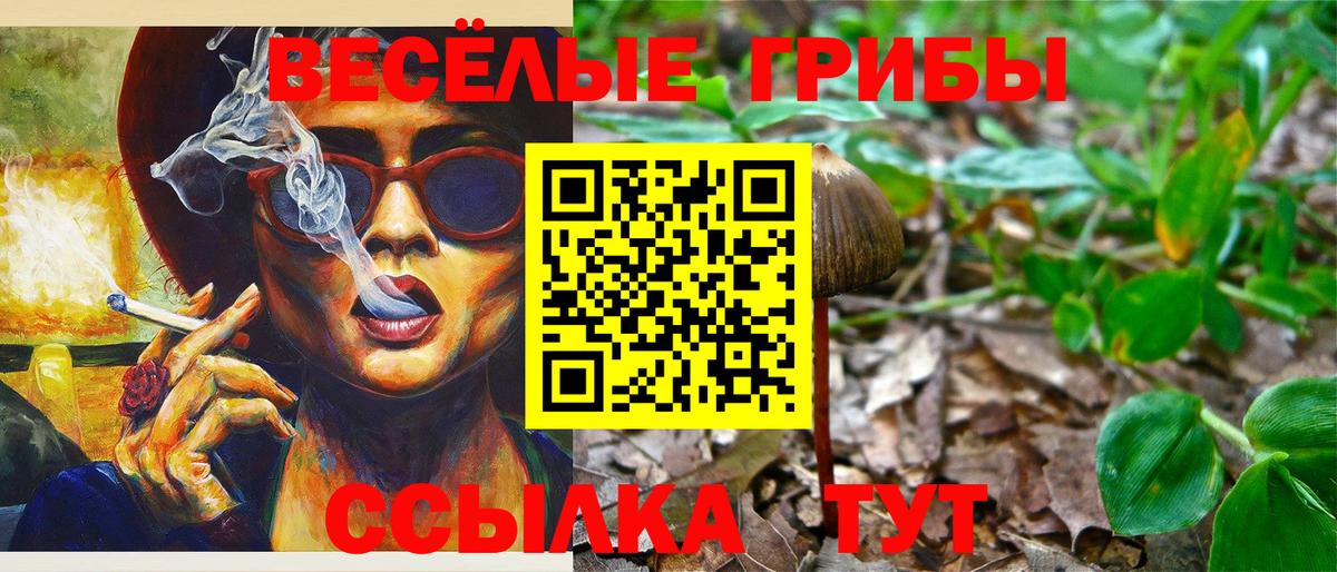 Балашов  Галлюциногенные грибы прущие грибы  Вход с VPN 