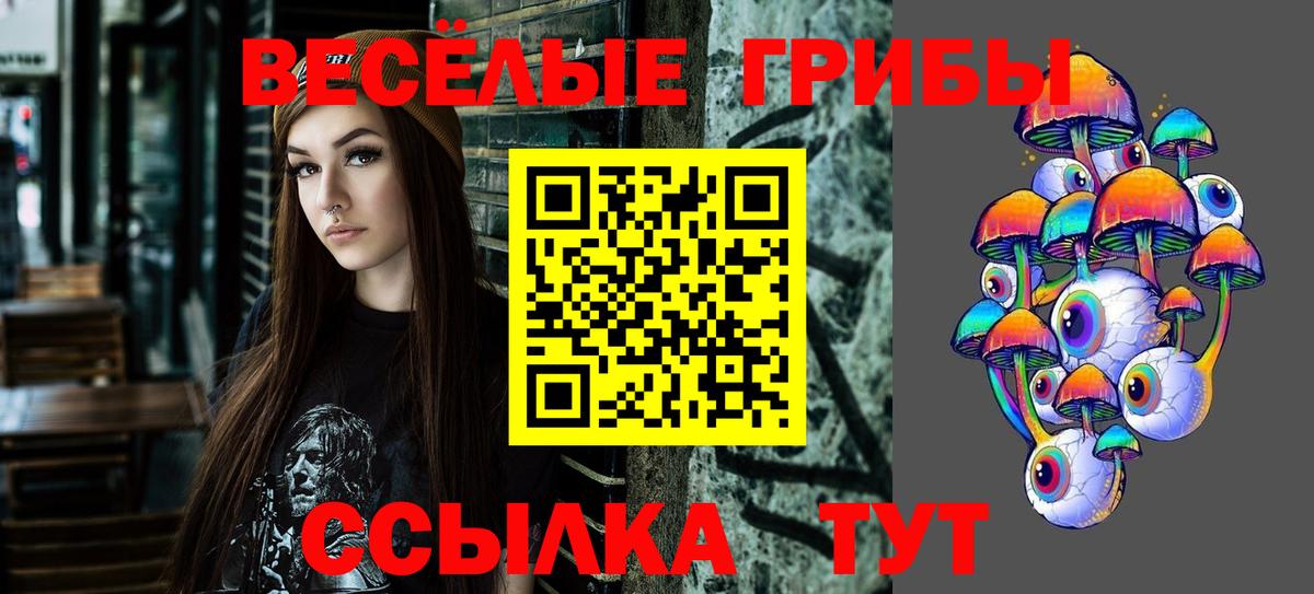 Псилоцибиновые грибы ЛСД Балашов